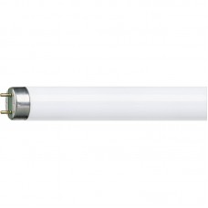 Лампа люминесцентная PHILIPS  18W/54 G13 (Холодный свет)